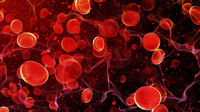 Bloodborne Pathogens Revised